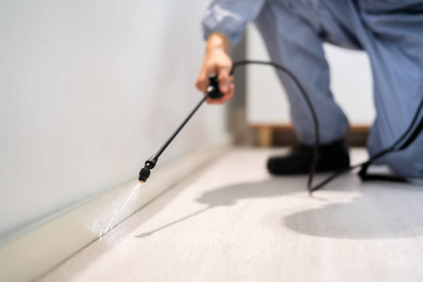 Bed Bug Pre-Treatment Preparation Assessment in Columbia