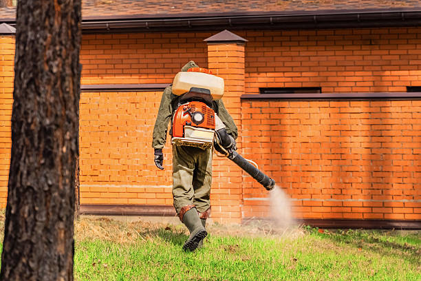 Bed Bug Clearance Verification and Documentation in Columbia